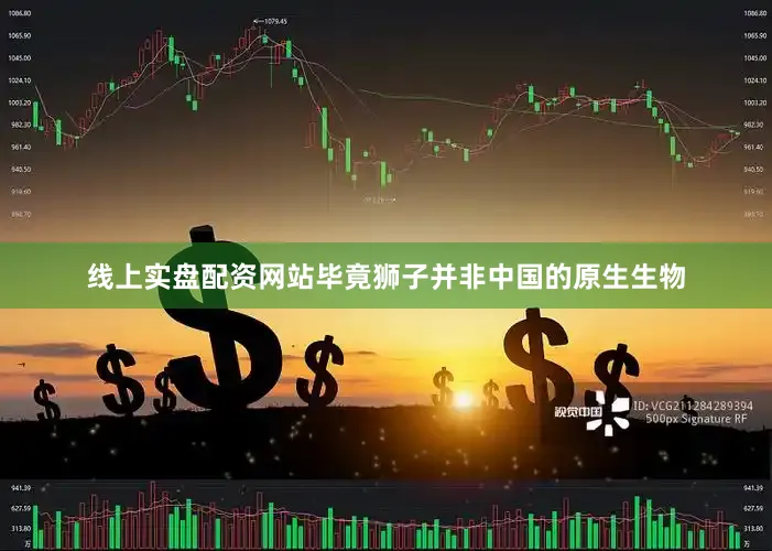 线上实盘配资网站毕竟狮子并非中国的原生生物